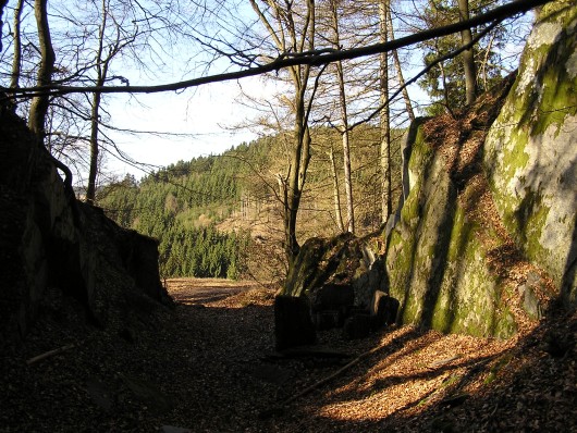 Kleiner Tagesbruch am Wegesrand