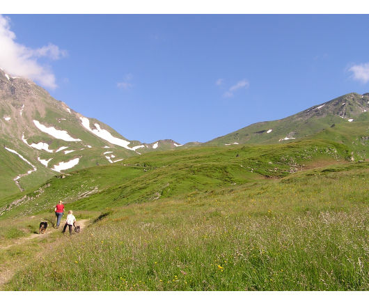 Bis in die Senke am Horizont (Niedertauern) mussten wir noch; dort lag die Hagener Hütte.