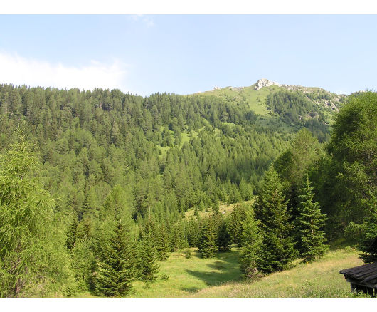 Auf Höhe der Rosskopf Alm zeigte sich der felsige Gipfel vom Auernig