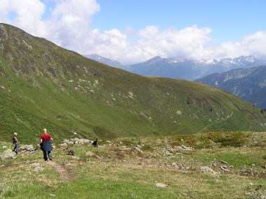 Oberhalb der Rinderhuette. Im Hintergrund das Verwall.