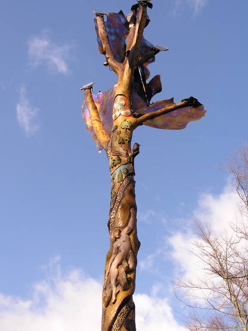 Die Feuereiche an der Rhein - Weser - Wasserscheide, oberhalb von Elleringhausen.