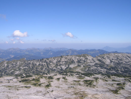 Der Gottesacker wirkte wie eine Schneelandschaft.