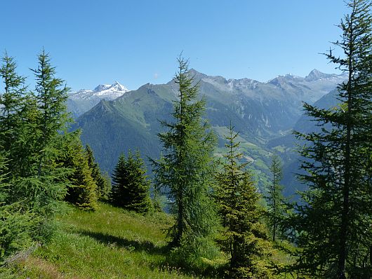 An der Abzweigung zeigten sich dann die Hohen Tauern. Bei dem auffälligen, schneebedeckten Gipfel handelt es sich um den Ankogel.