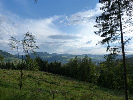 Oberhalb vom Schinkenwirt