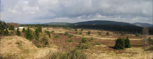 Das Naturschutzgebiet "Neuer Hagen"