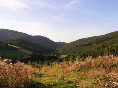 Das Ruhrtal zwischen Olsberg und Assinghausen