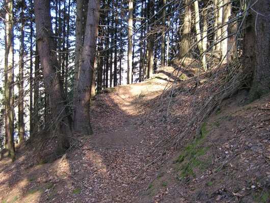 Naturbelassenen Pfade zeichnetetn diesen tollen Wanderweg auch aus.