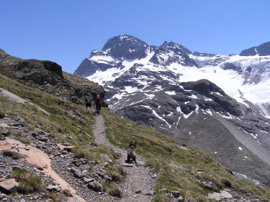 Kurz vor der Wiesbadener Huette. Der Blick immer auf den Gr. Piz Buin.