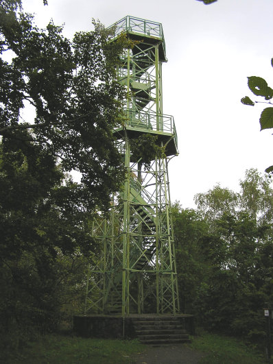 Der Wilzenberg-Turm.